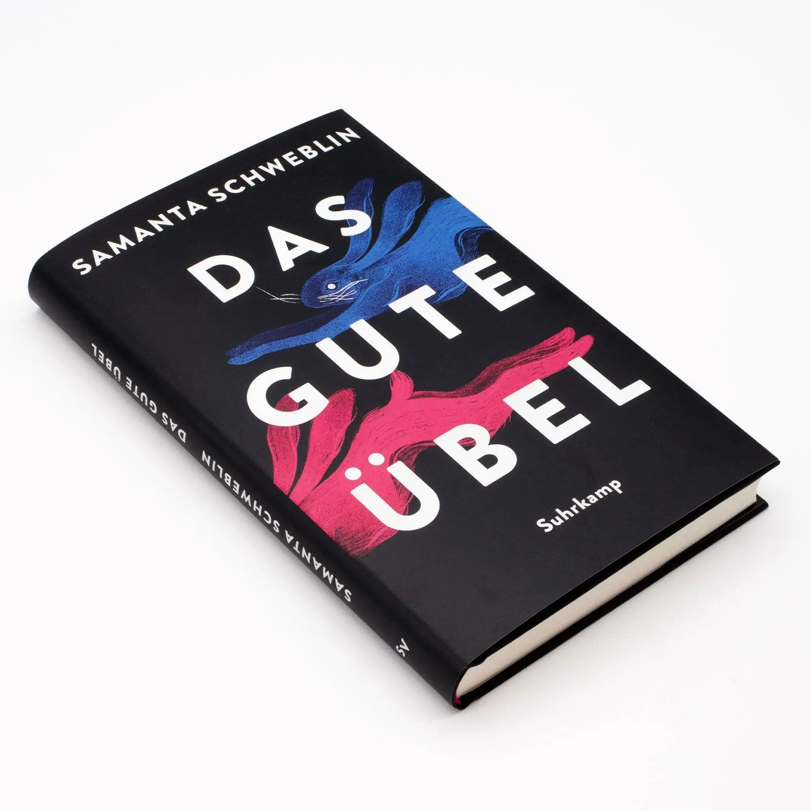 Bild: 9783518431382 | Das gute Übel | Samanta Schweblin | Buch | 190 S. | Deutsch | 2025