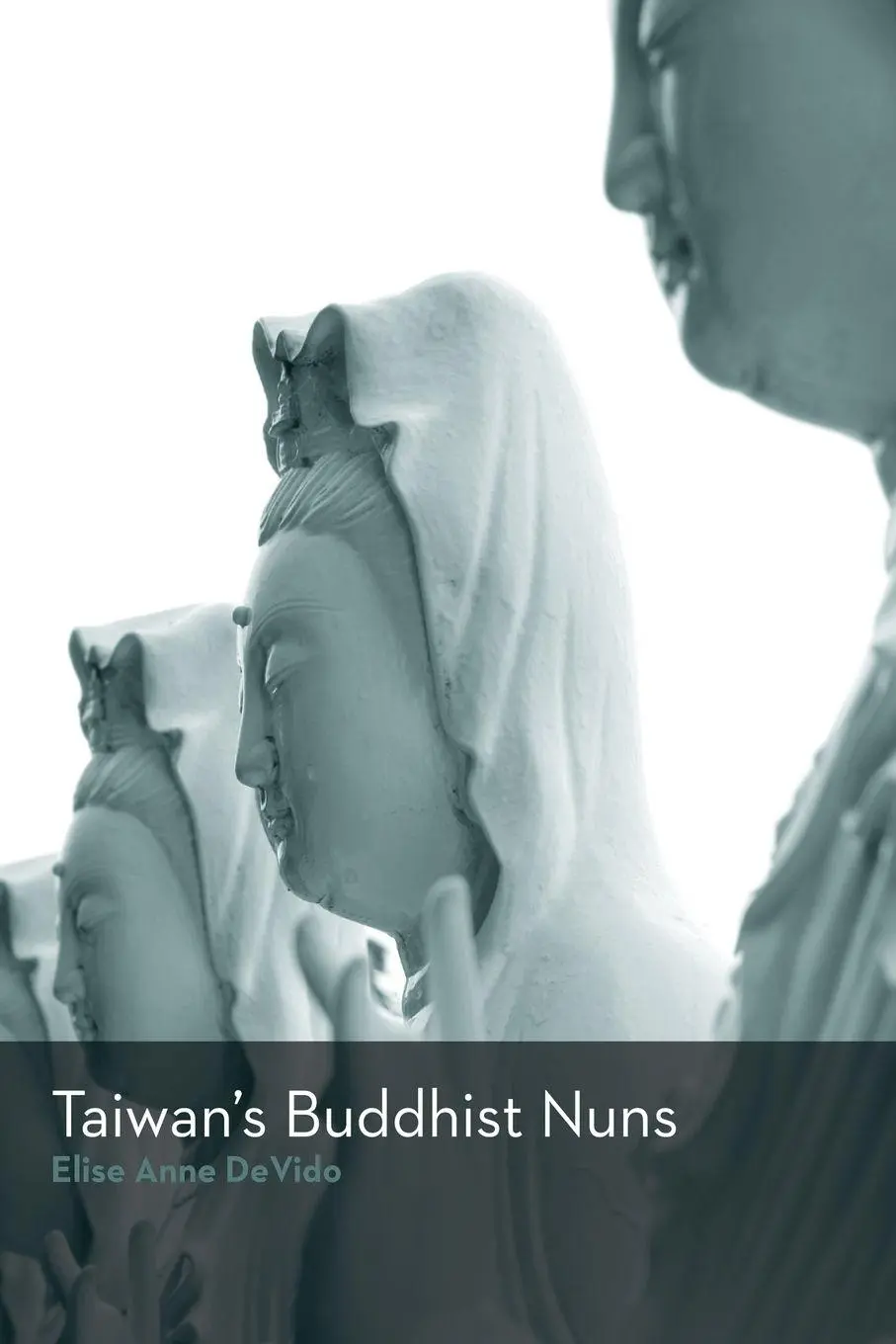 Cover: 9781438431482 | Taiwan's Buddhist Nuns | Elise Anne Devido | Taschenbuch | Englisch