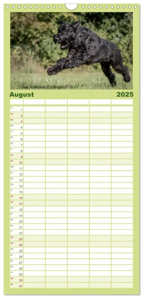Bild: 9783457111482 | Familienplaner 2025 - Schnauzer... von Zwergen und Riesen 2025 mit...
