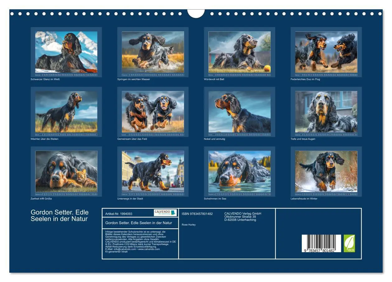 Bild: 9783457801482 | Gordon Setter. Edle Seelen in der Natur (Wandkalender 2026 DIN A3...