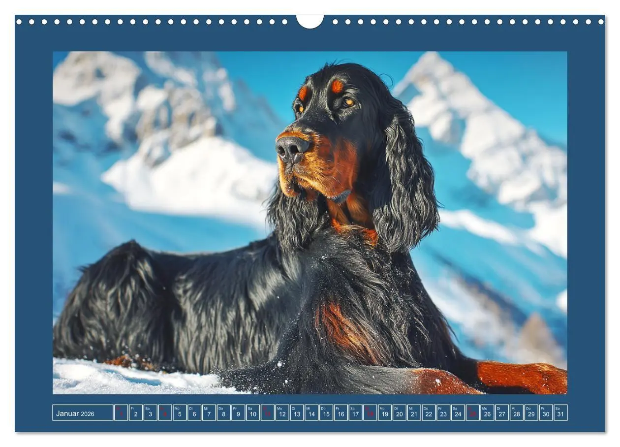 Bild: 9783457801482 | Gordon Setter. Edle Seelen in der Natur (Wandkalender 2026 DIN A3...