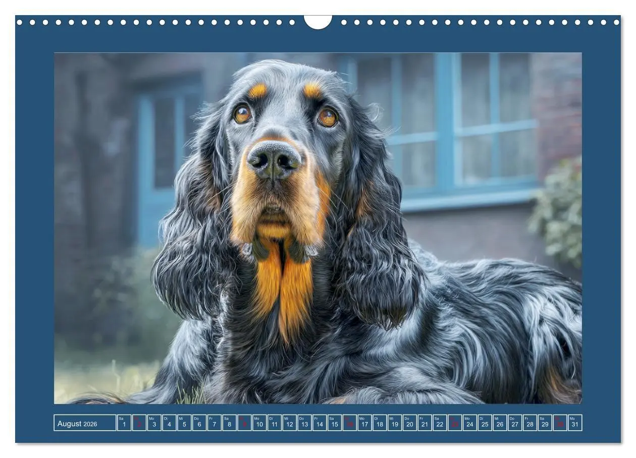 Bild: 9783457801482 | Gordon Setter. Edle Seelen in der Natur (Wandkalender 2026 DIN A3...