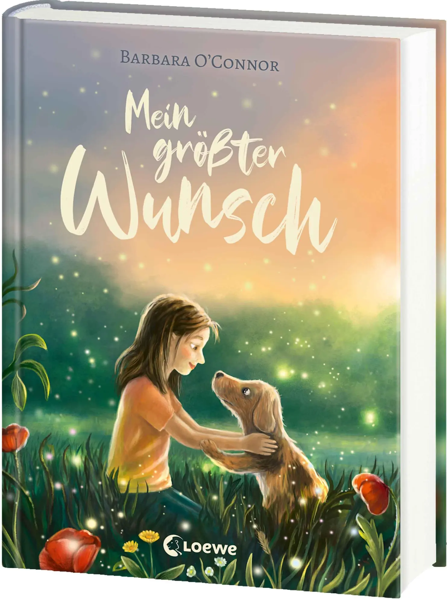 Cover: 9783743221482 | Mein größter Wunsch | Barbara O´Connor | Buch | 240 S. | Deutsch