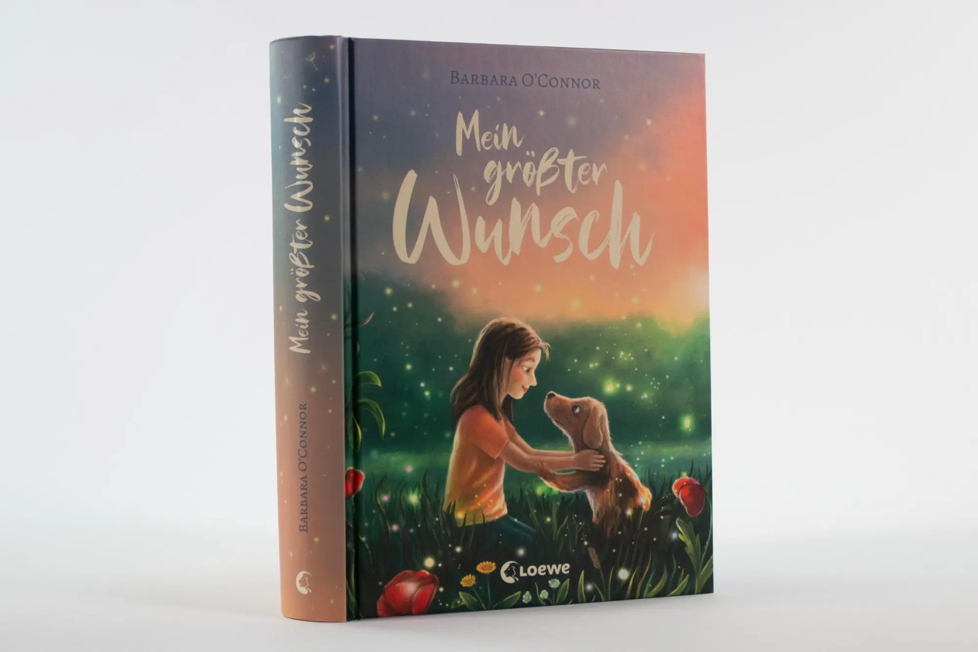 Bild: 9783743221482 | Mein größter Wunsch | Barbara O´Connor | Buch | 240 S. | Deutsch