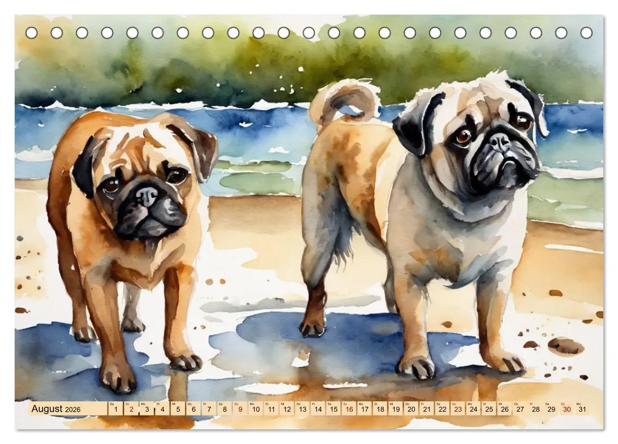 Bild: 9783457411582 | Knuffige Möpse (Tischkalender 2026 DIN A5 quer), CALVENDO...