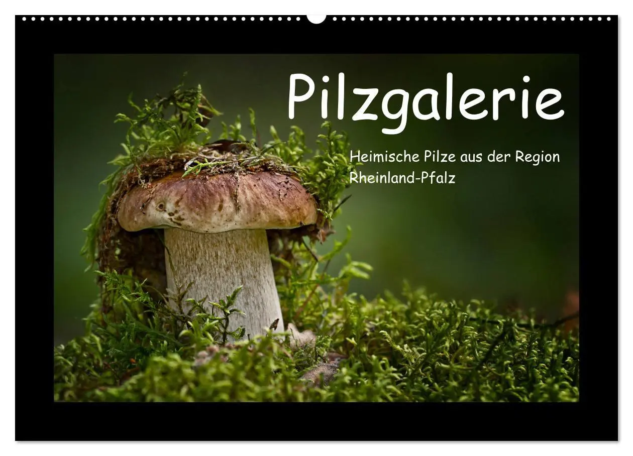 Cover: 9783457891582 | Pilzgalerie - Heimische Pilze aus der Region Rheinland-Pfalz...