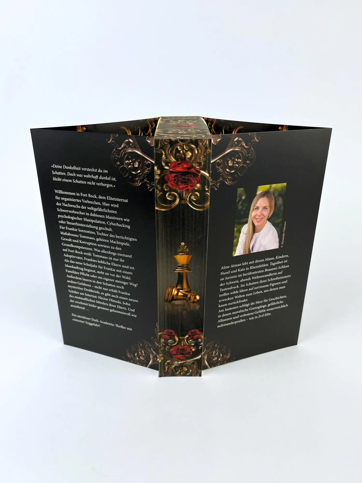 Bild: 9783764171582 | Evil Elite - Der Kodex der Ehre | Aline Atman | Taschenbuch | 448 S.
