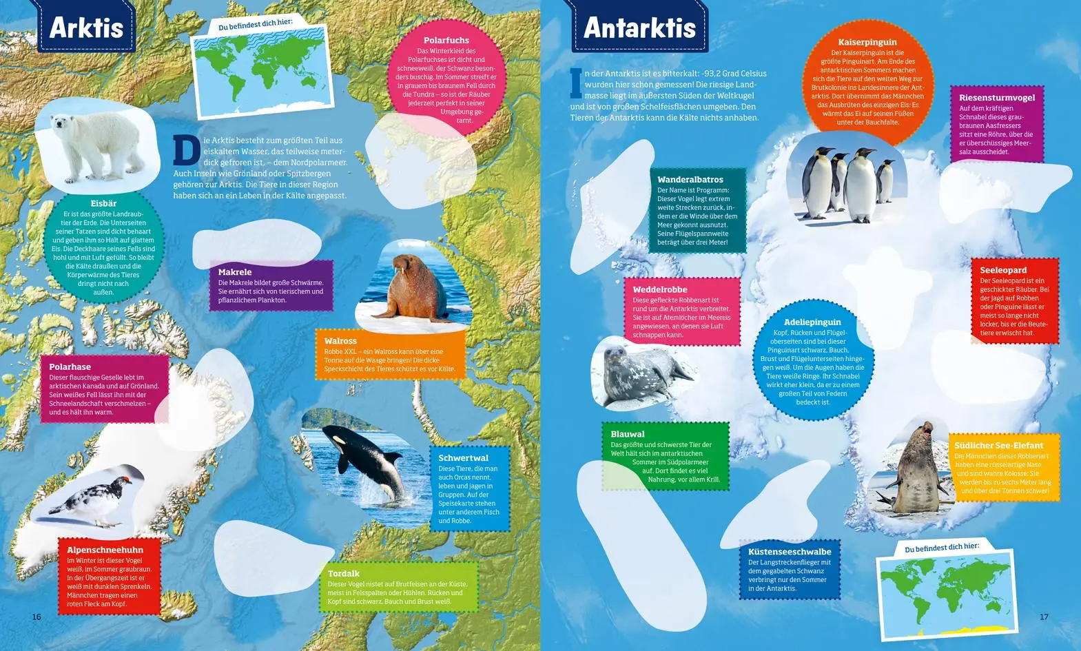 Bild: 9783788621582 | WAS IST WAS Sticker-Atlas Tiere | Taschenbuch | 32 S. | Deutsch | 2017