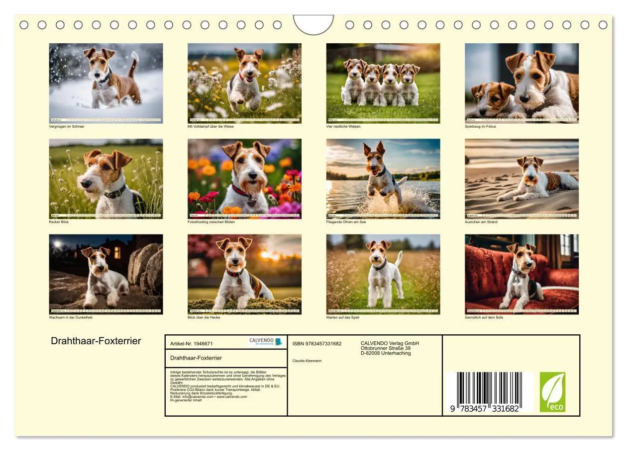 Bild: 9783457331682 | Drahthaar-Foxterrier (Wandkalender 2026 DIN A4 quer), CALVENDO...