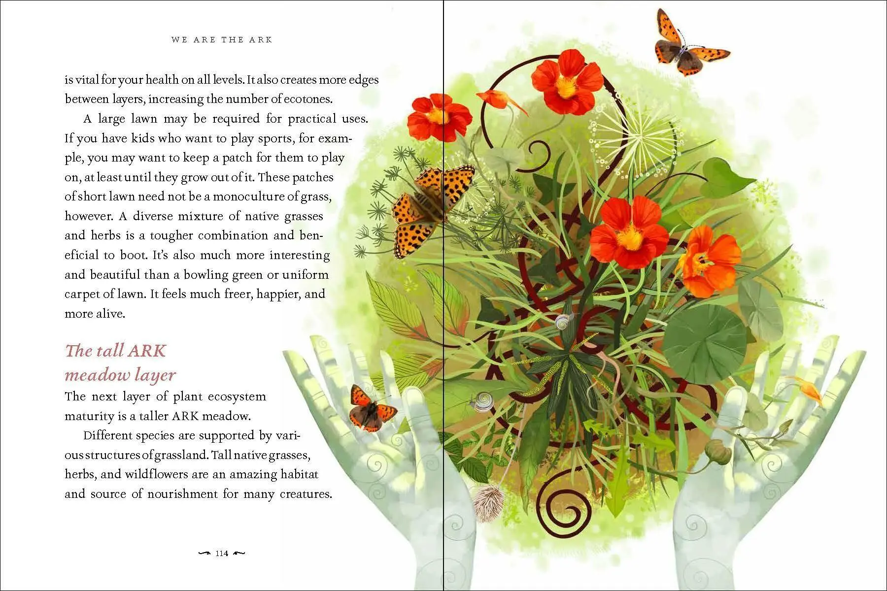 Bild: 9781643261782 | We Are the Ark | Mary Reynolds | Buch | Gebunden | Englisch | 2022
