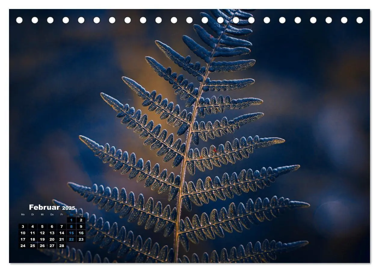 Bild: 9783383761782 | Abstrakte Natur (Tischkalender 2025 DIN A5 quer), CALVENDO...