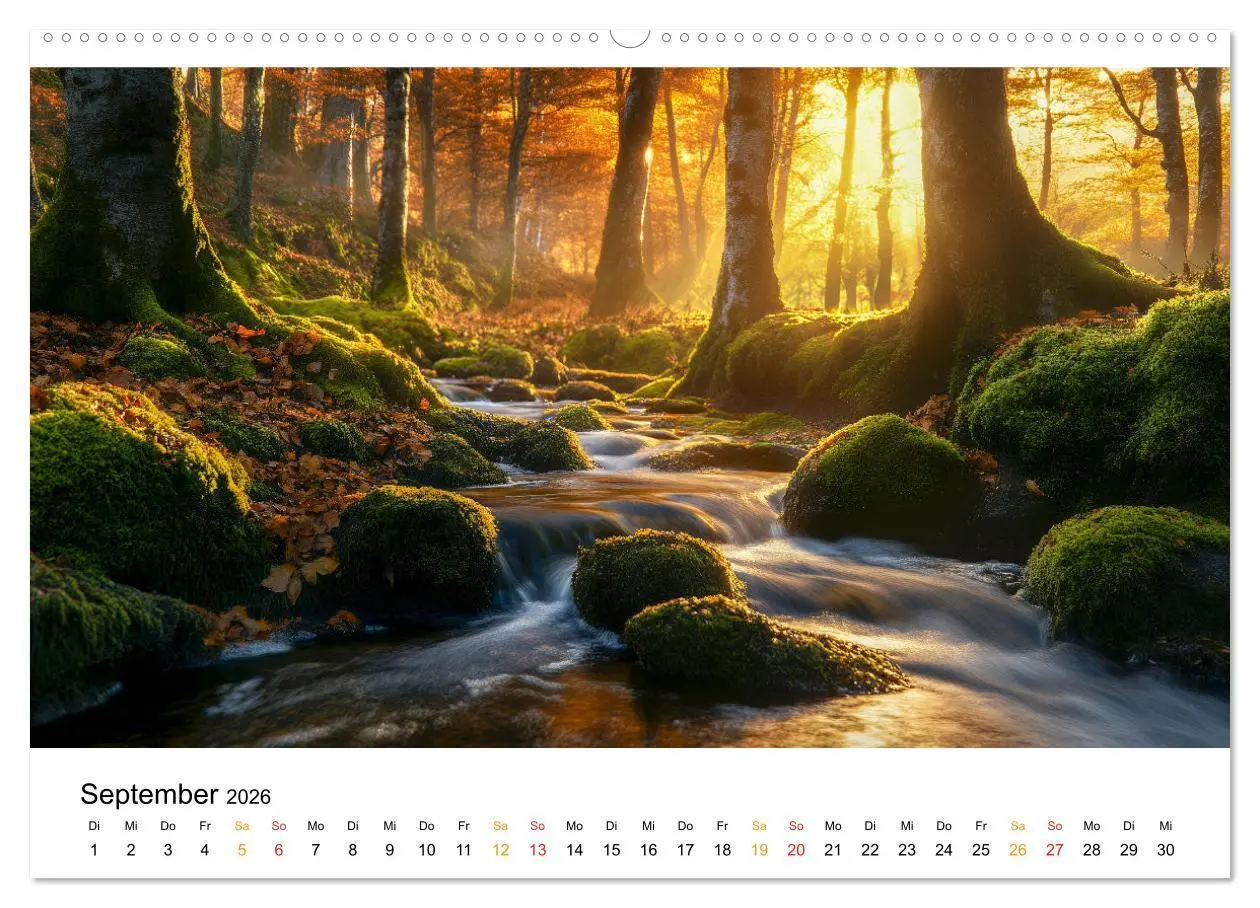Bild: 9783457321782 | Mystik der Wälder (hochwertiger Premium Wandkalender 2026 DIN A2...