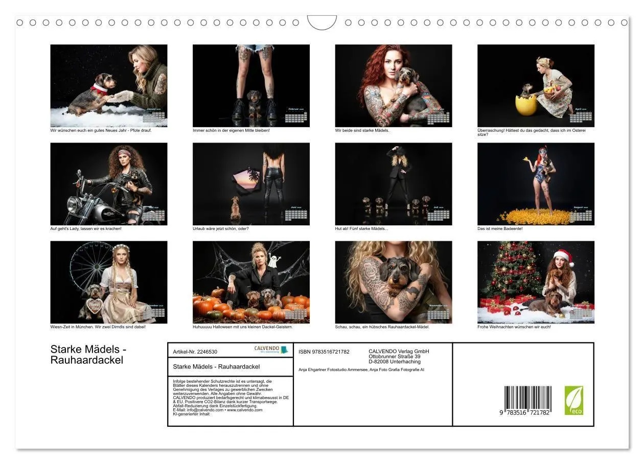 Bild: 9783516721782 | Starke Mädels - Rauhaardackel (Wandkalender 2026 DIN A3 quer),...
