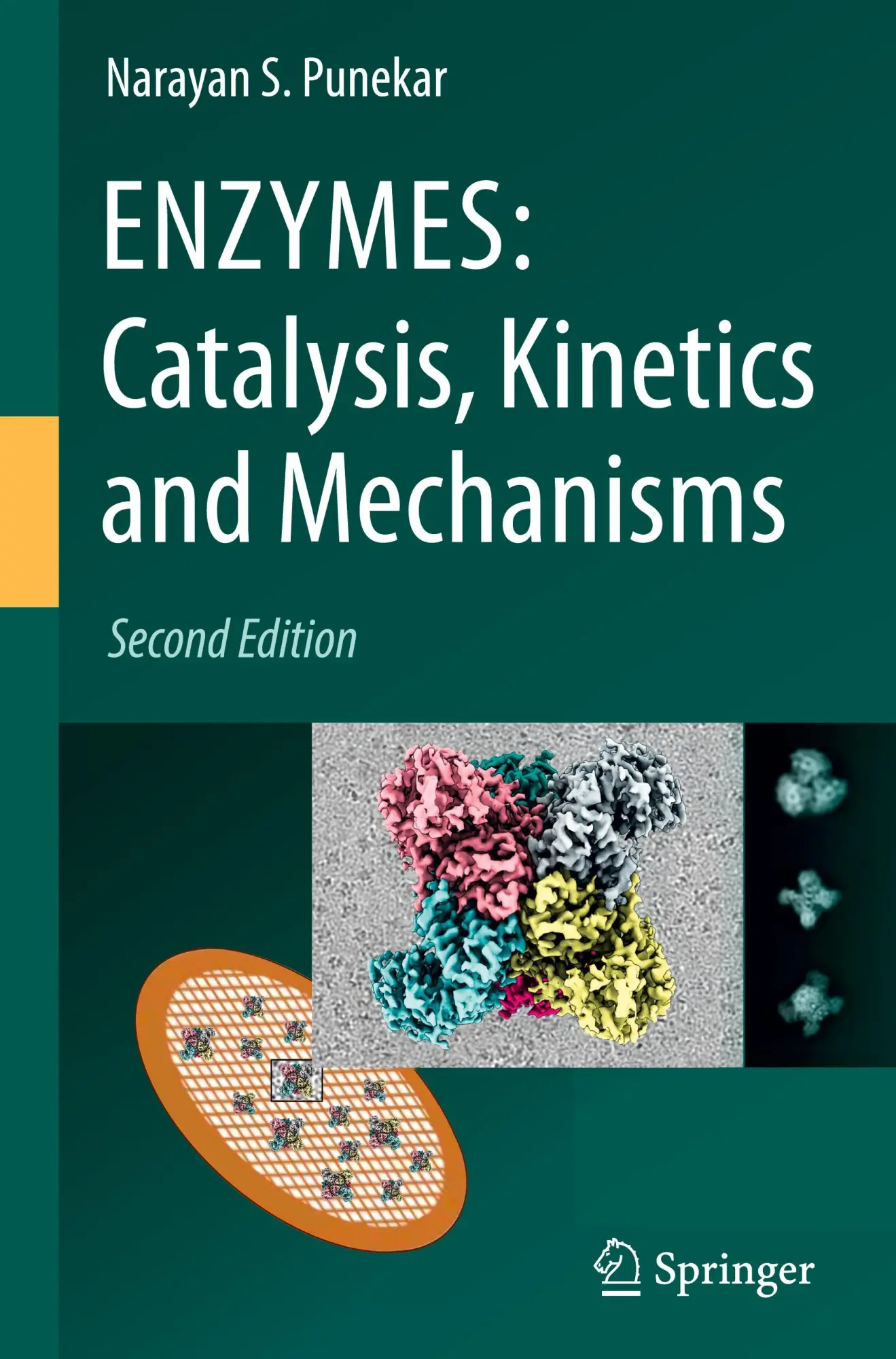 Cover: 9789819781782 | ENZYMES: Catalysis, Kinetics and Mechanisms | Narayan S. Punekar