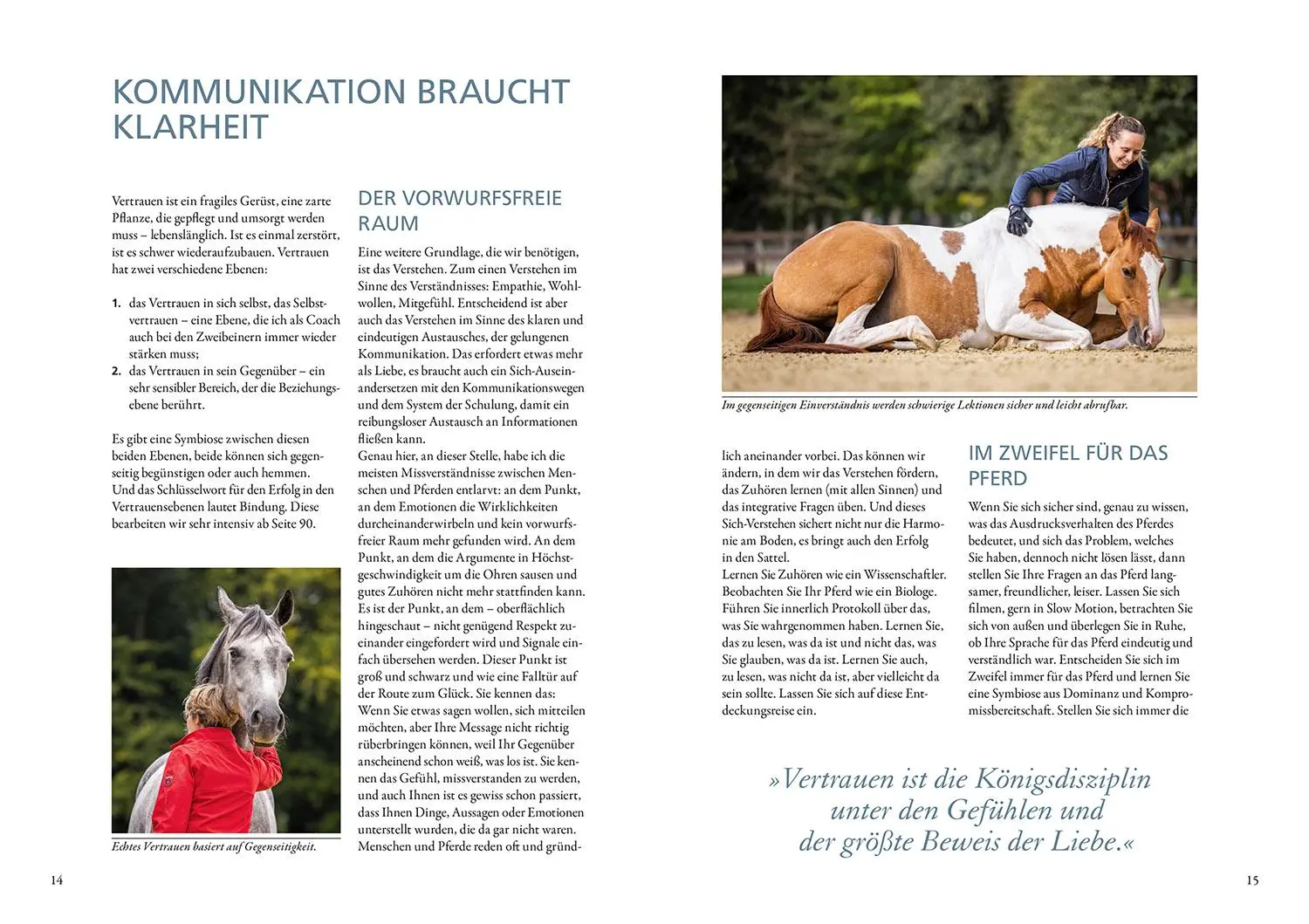 Bild: 9783440171882 | Glücksschmiede für Pferde | Anne Krüger-Degener | Buch | 200 S. | 2022