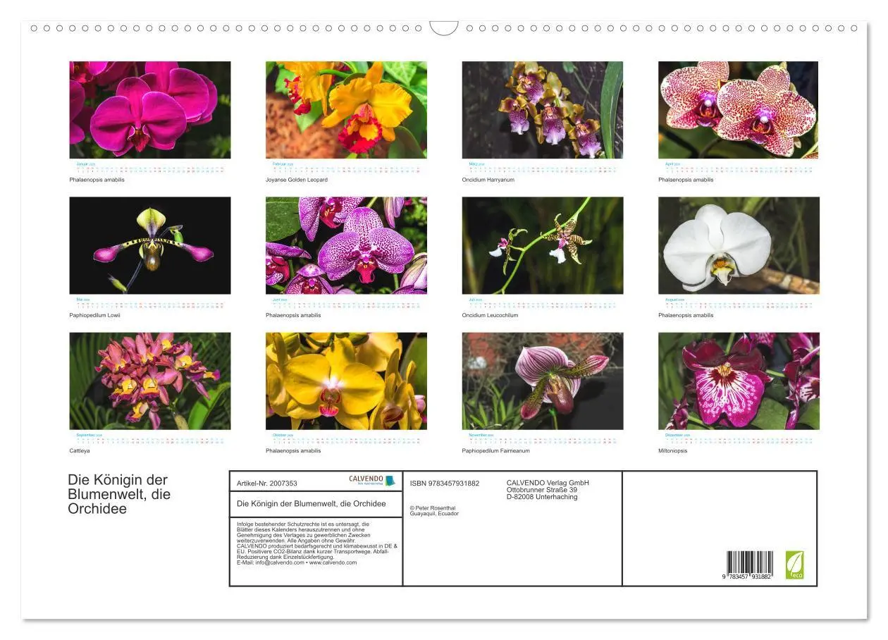 Bild: 9783457931882 | Die Königin der Blumenwelt, die Orchidee (Wandkalender 2026 DIN A2...