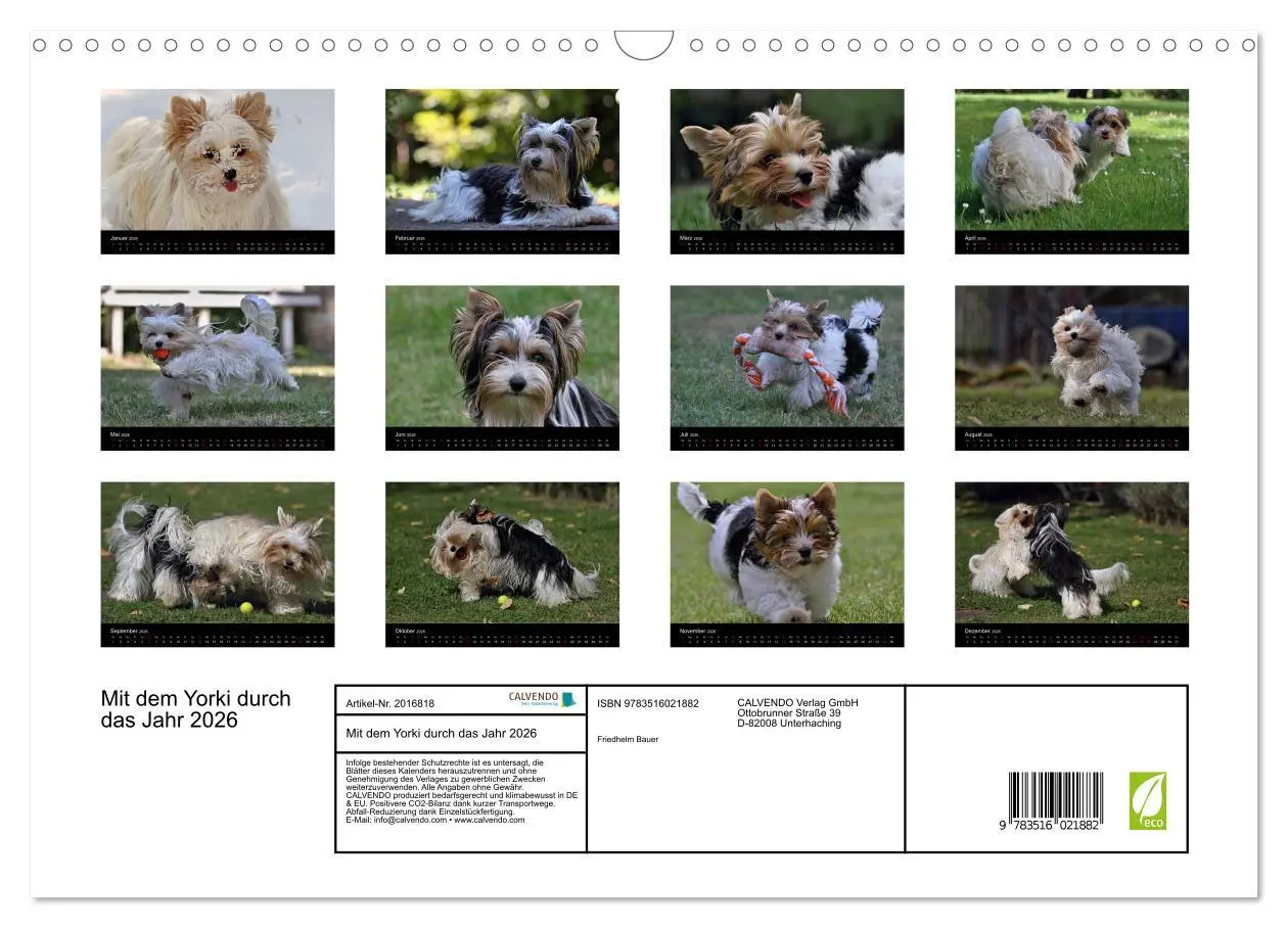 Bild: 9783516021882 | Mit dem Yorki durch das Jahr 2026 (Wandkalender 2026 DIN A3 quer),...