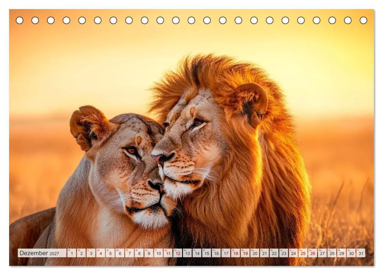 Bild: 9783516951882 | TIERWELT AFRIKA Faszination Wildnis (Tischkalender 2027 DIN A5...