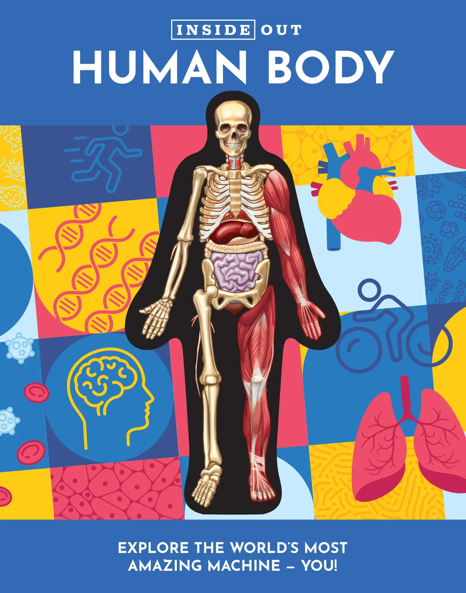 Cover: 9780785841982 | Inside Out Human Body | Luann Columbo | Buch | Inside Out | Gebunden