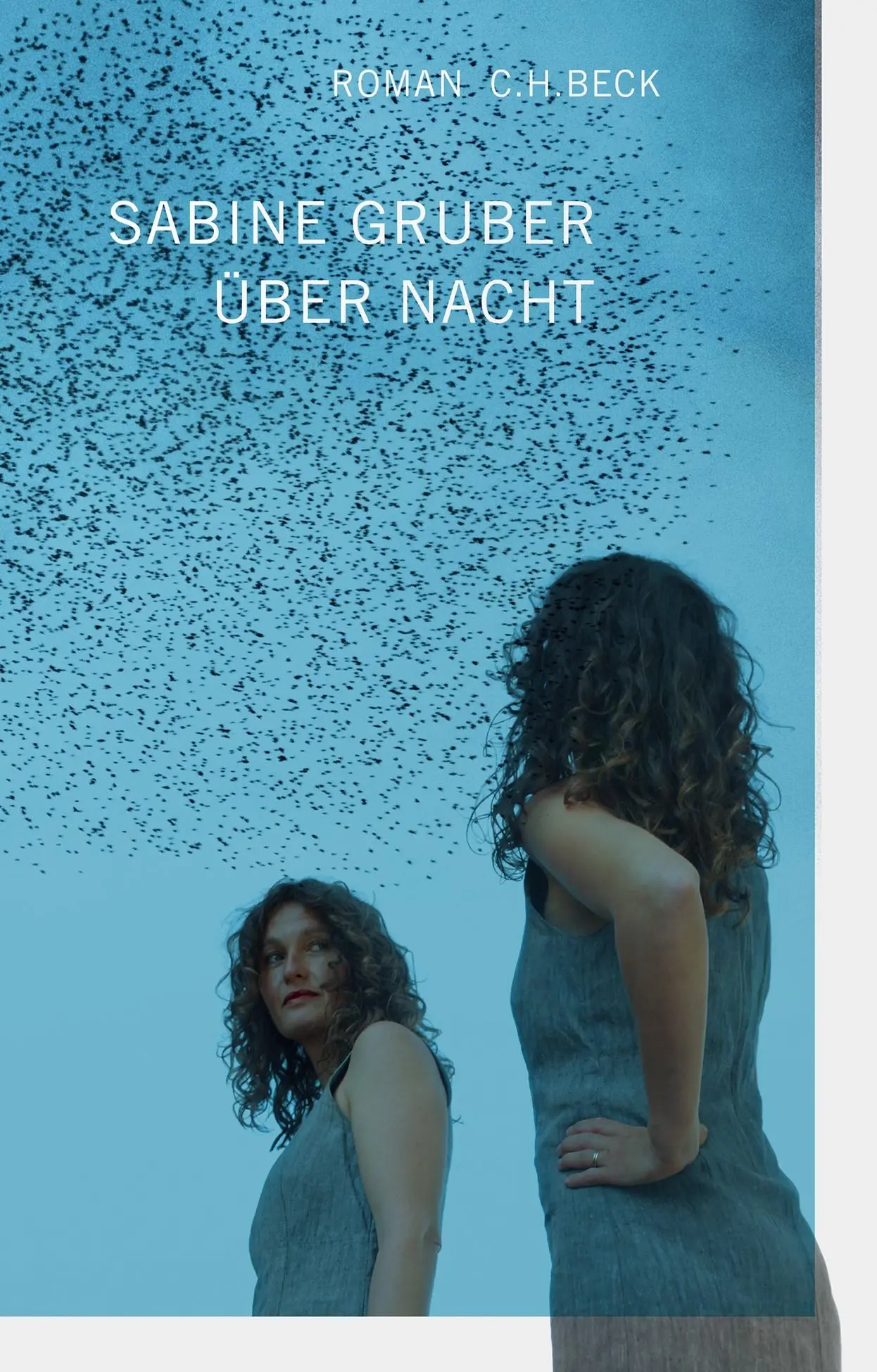 Cover: 9783406811982 | Über Nacht | Roman | Sabine Gruber | Taschenbuch | broschiert | 239 S.