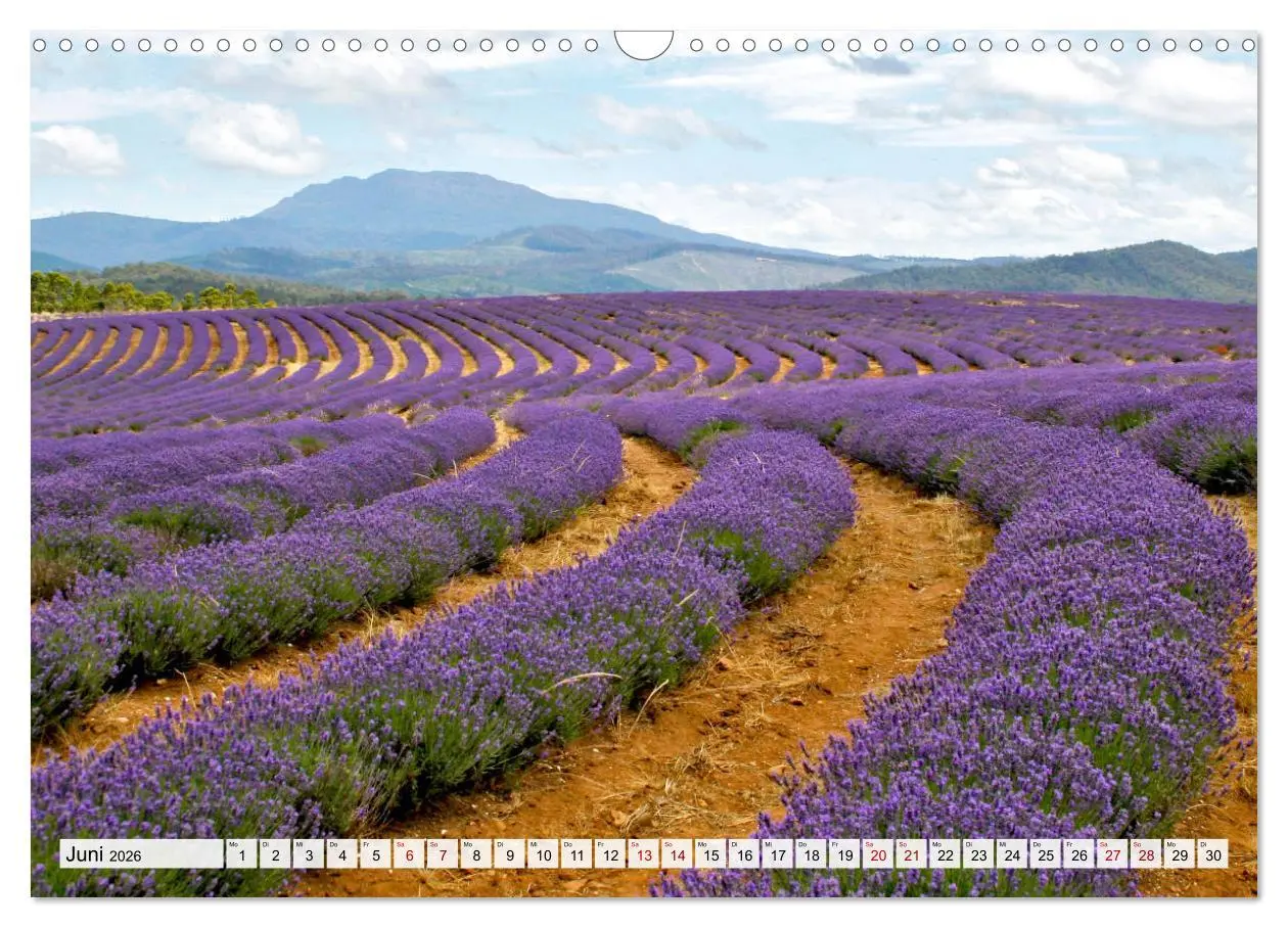 Bild: 9783457851982 | Inselschönheit Tasmanien (Wandkalender 2026 DIN A3 quer), CALVENDO...