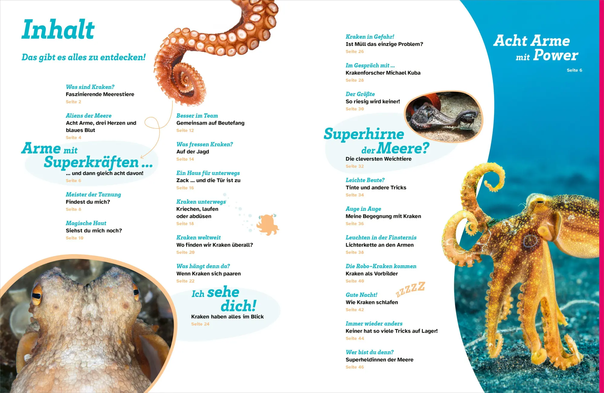 Bild: 9783788681982 | WAS IST WAS Kraken. Acht Arme und drei Herzen | Stephanie Helber