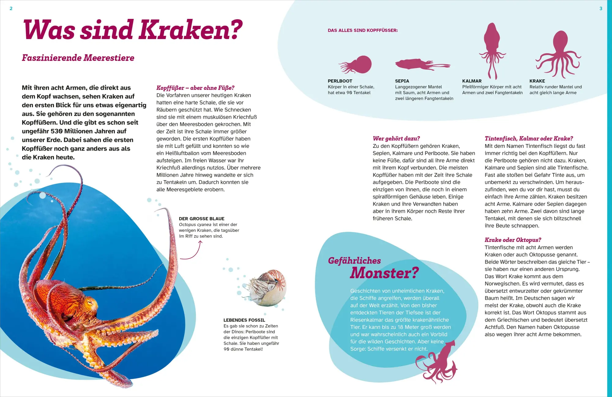 Bild: 9783788681982 | WAS IST WAS Kraken. Acht Arme und drei Herzen | Stephanie Helber
