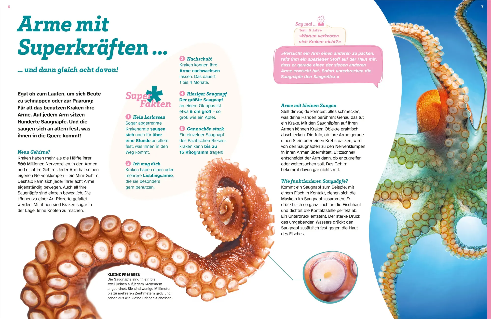Bild: 9783788681982 | WAS IST WAS Kraken. Acht Arme und drei Herzen | Stephanie Helber