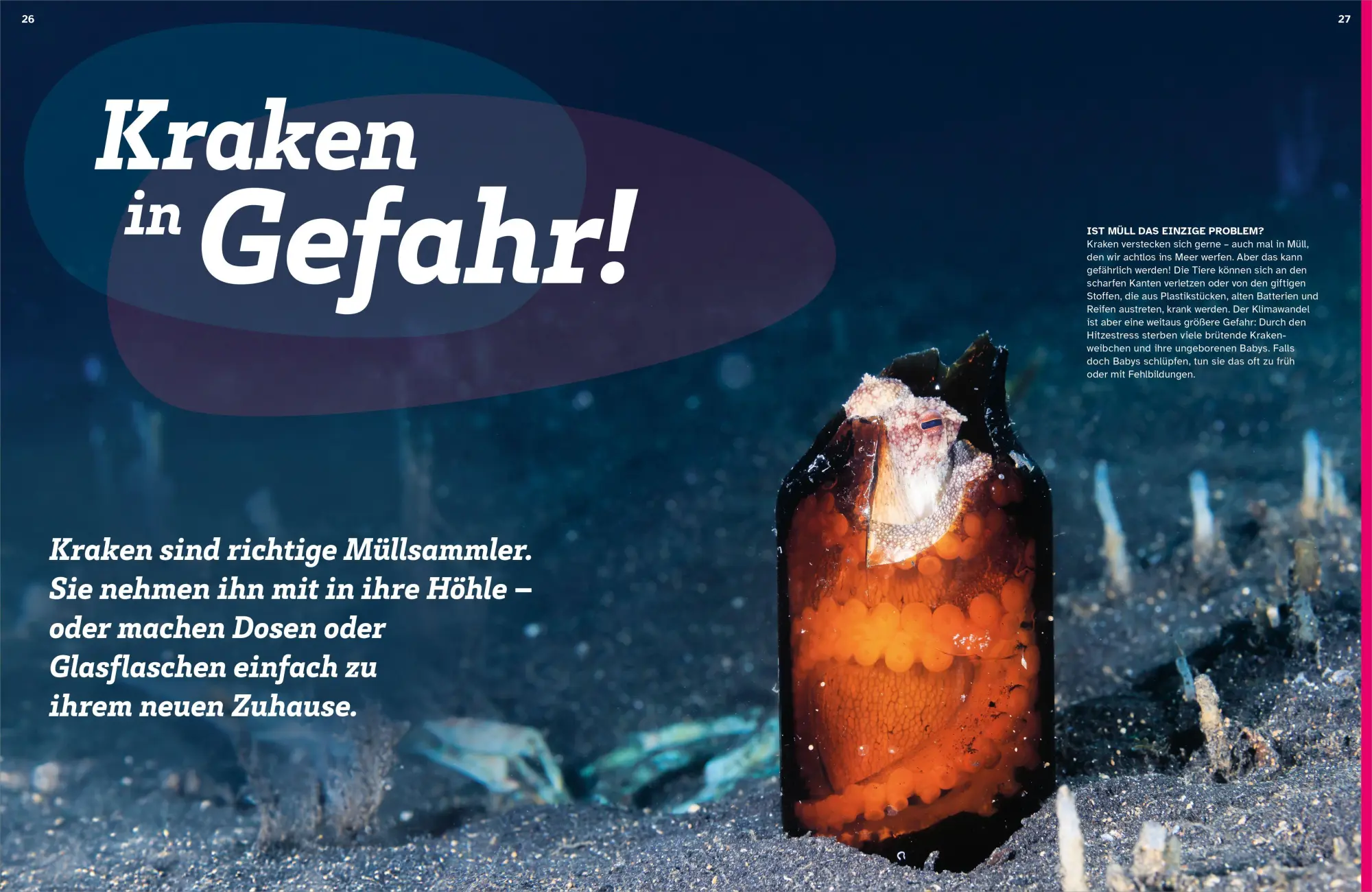 Bild: 9783788681982 | WAS IST WAS Kraken. Acht Arme und drei Herzen | Stephanie Helber