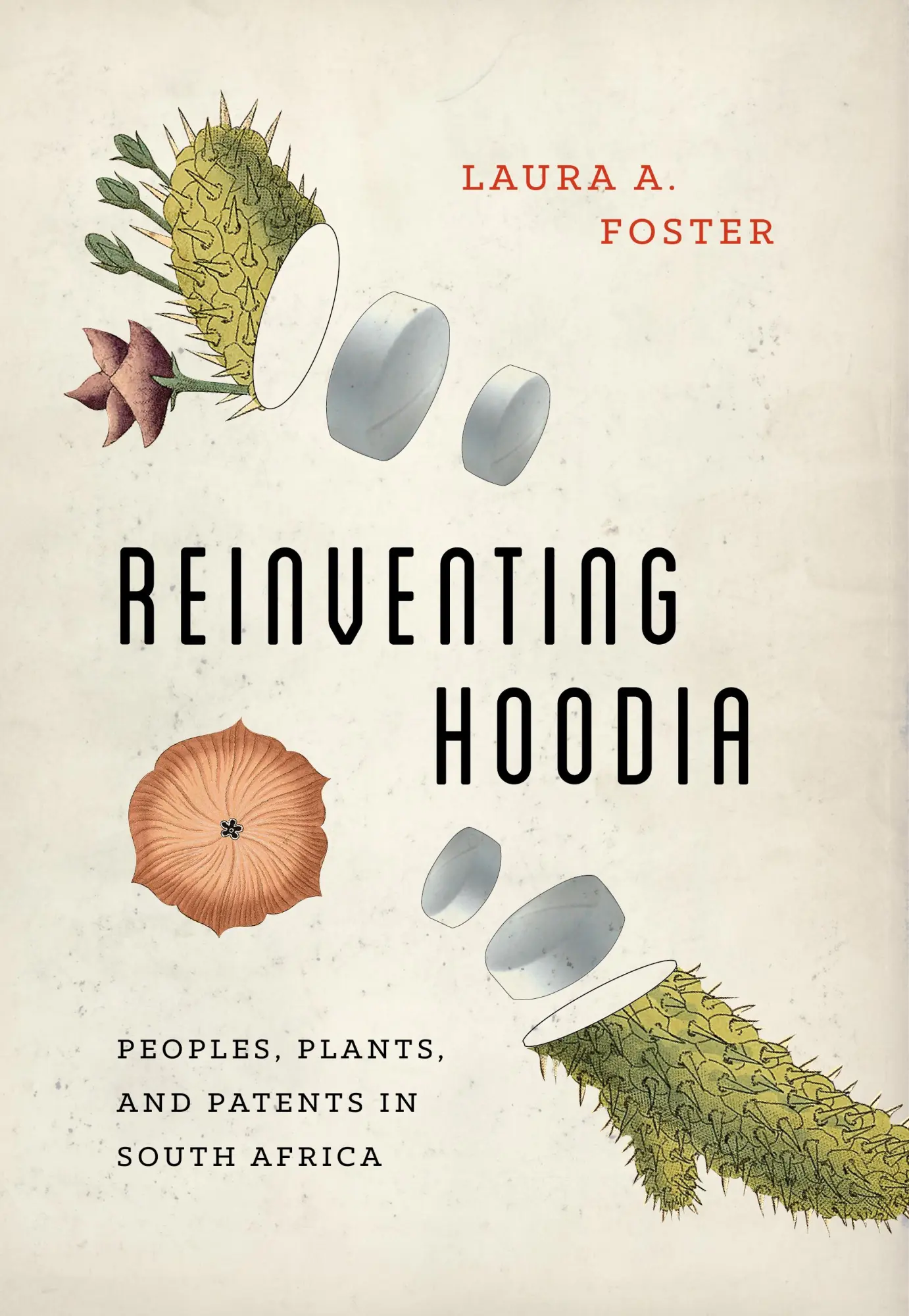 Cover: 9780295742182 | Reinventing Hoodia | Peoples, Plants, and Patents in South Africa