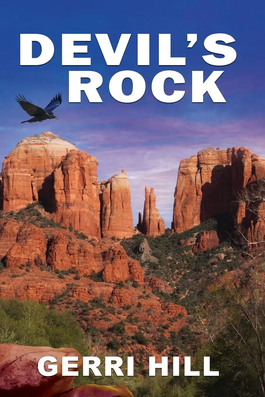 Cover: 9781594932182 | Devil's Rock | Gerri Hill | Taschenbuch | Englisch | 2010