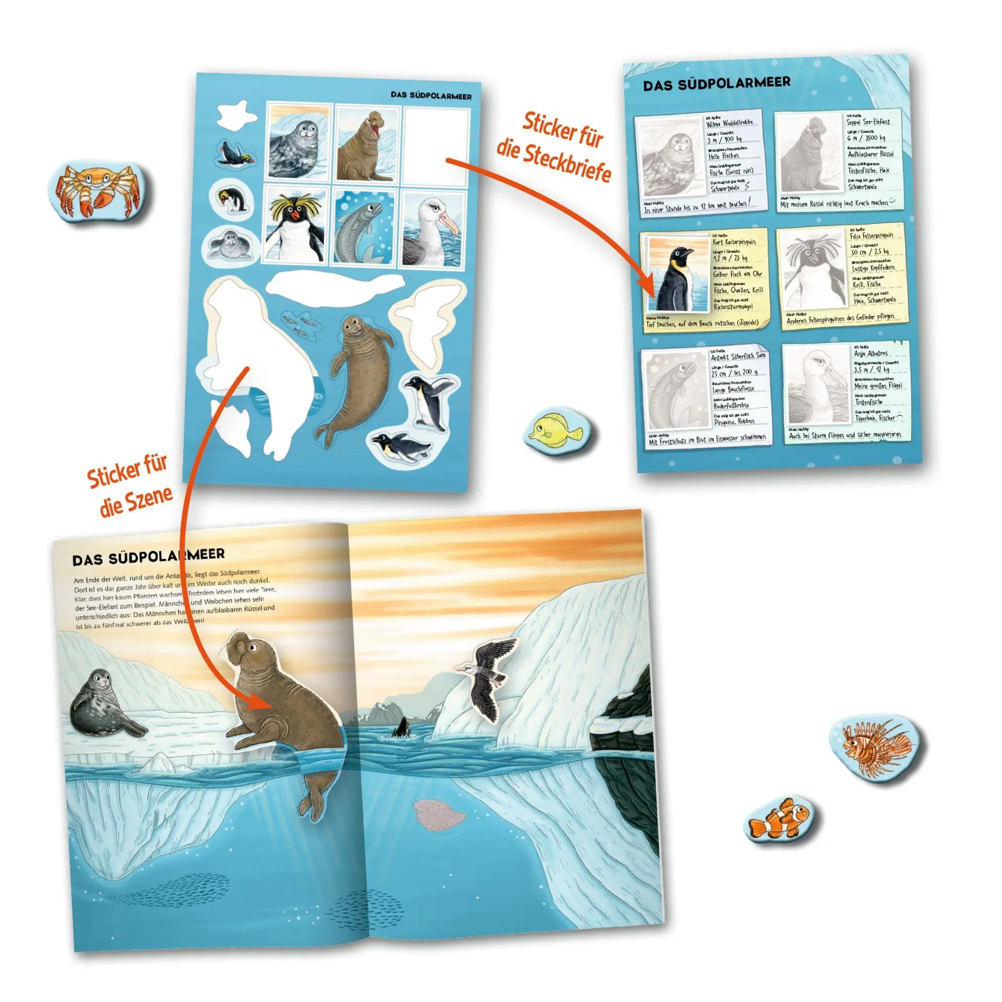Bild: 9783649652182 | Natur-Stickerwelt: Tiere in Meer und Ozean | Ruby Warnecke | Buch