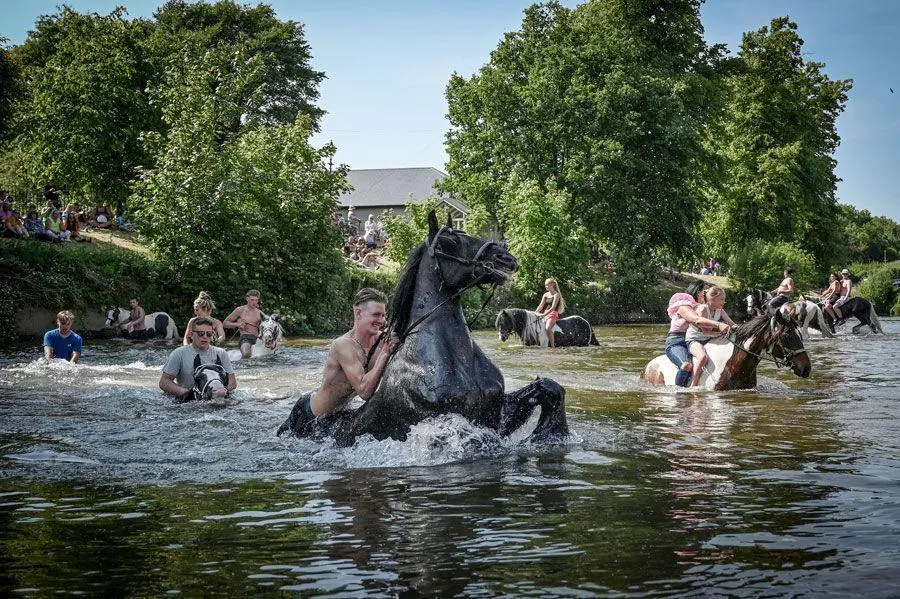 Bild: 9783903462182 | SO BRITISH! | Festival La Gacilly-Baden Photo - Katalog 2026 | Buch