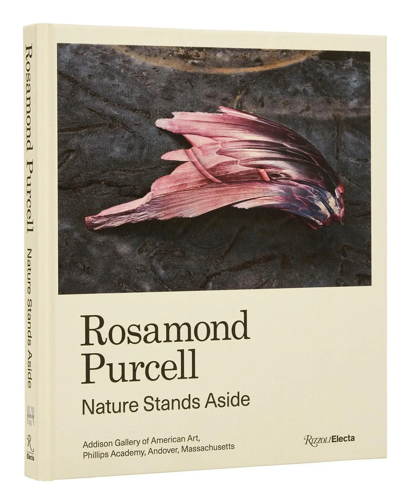 Cover: 9780847872282 | Rosamond Purcell | Nature Stands Aside | Gordon Wilkins (u. a.) | Buch