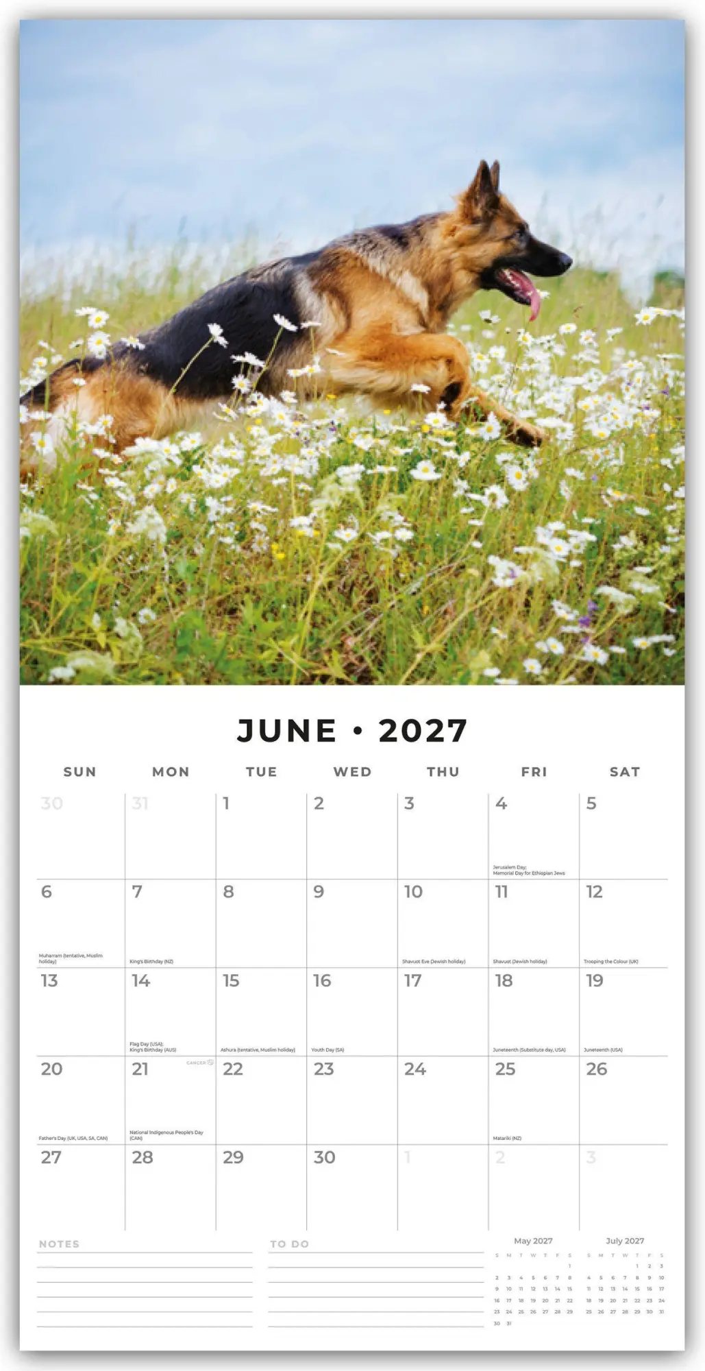 Bild: 9781837012282 | German Shepherds - Deutscher Schäferhund 2027 - 16-Monatskalender