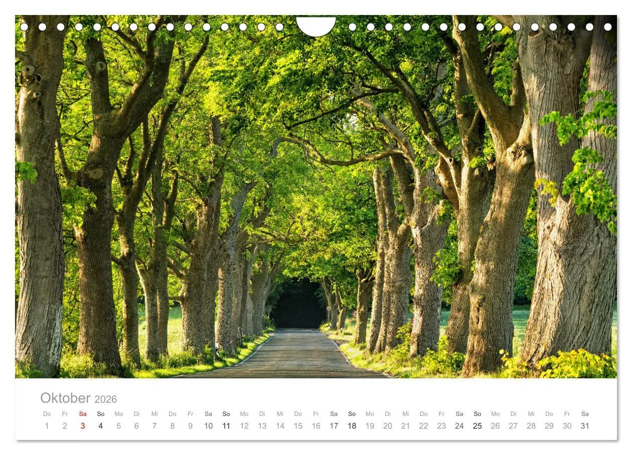 Bild: 9783457882382 | Rügen ein Sommertraum (Wandkalender 2026 DIN A4 quer), CALVENDO...