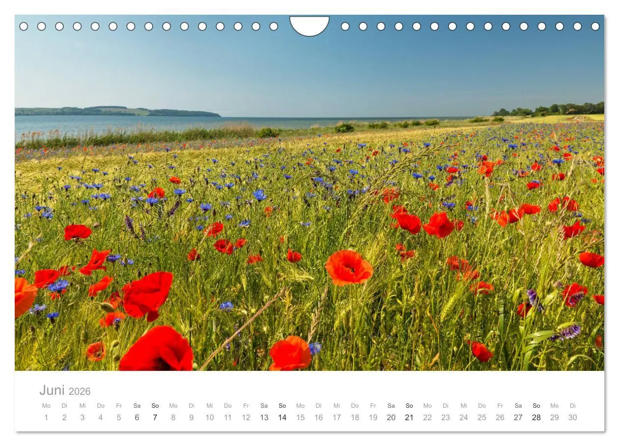 Bild: 9783457882382 | Rügen ein Sommertraum (Wandkalender 2026 DIN A4 quer), CALVENDO...