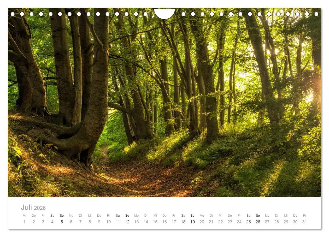 Bild: 9783457882382 | Rügen ein Sommertraum (Wandkalender 2026 DIN A4 quer), CALVENDO...