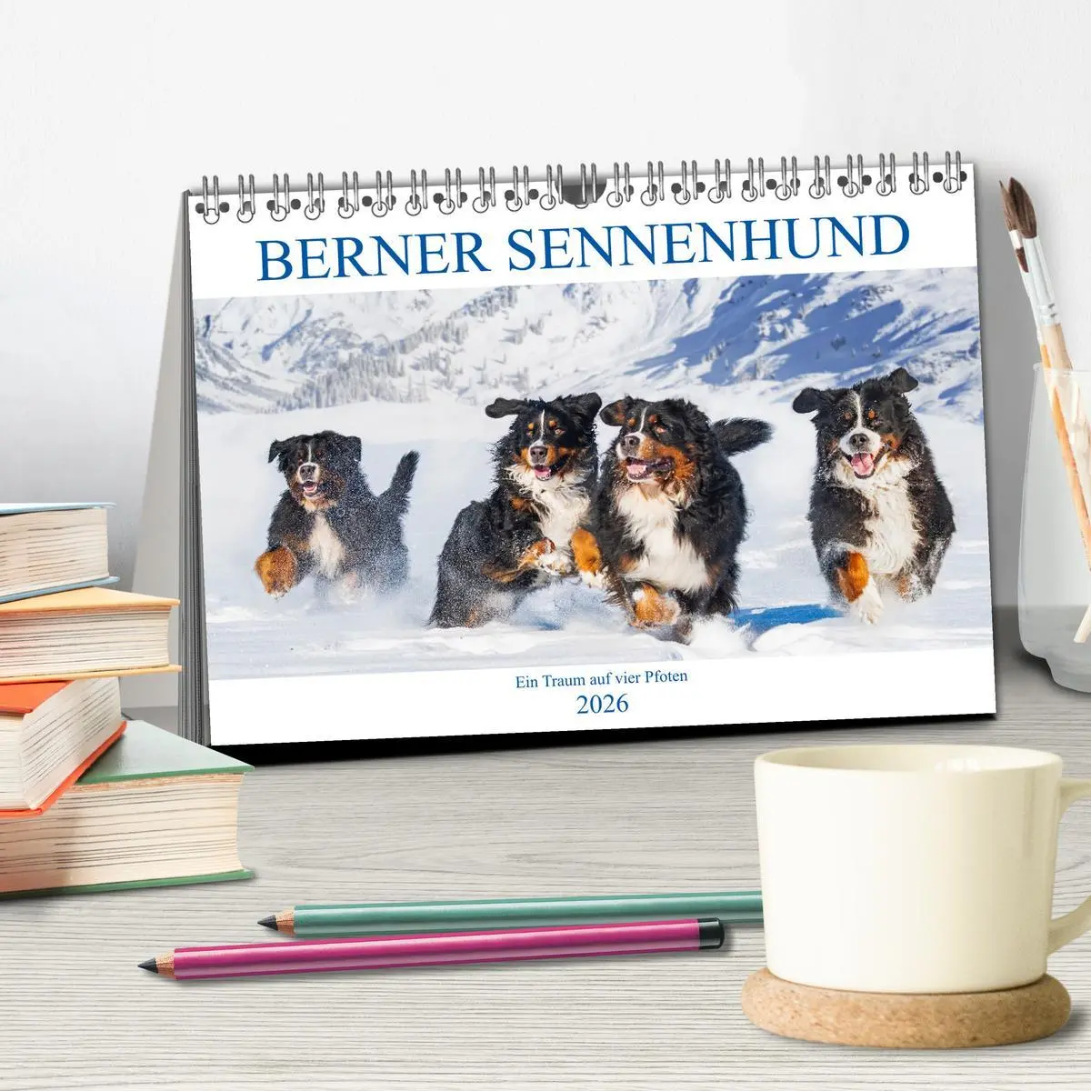Bild: 9783457632482 | Berner Sennenhund - Ein Traum auf vier Pfoten (Tischkalender 2026...