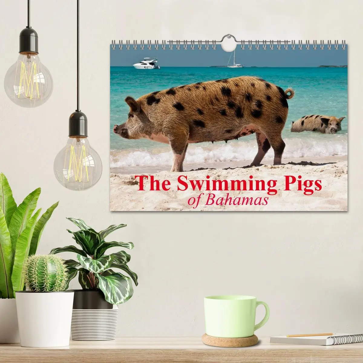 Bild: 9783516582482 | The Swimming Pigs of Bahamas (Wall Calendar 2026 DIN A4 landscape),...
