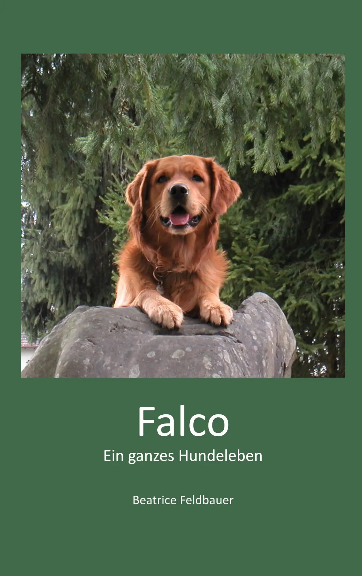 Falco: Ein ganzes Hundeleben