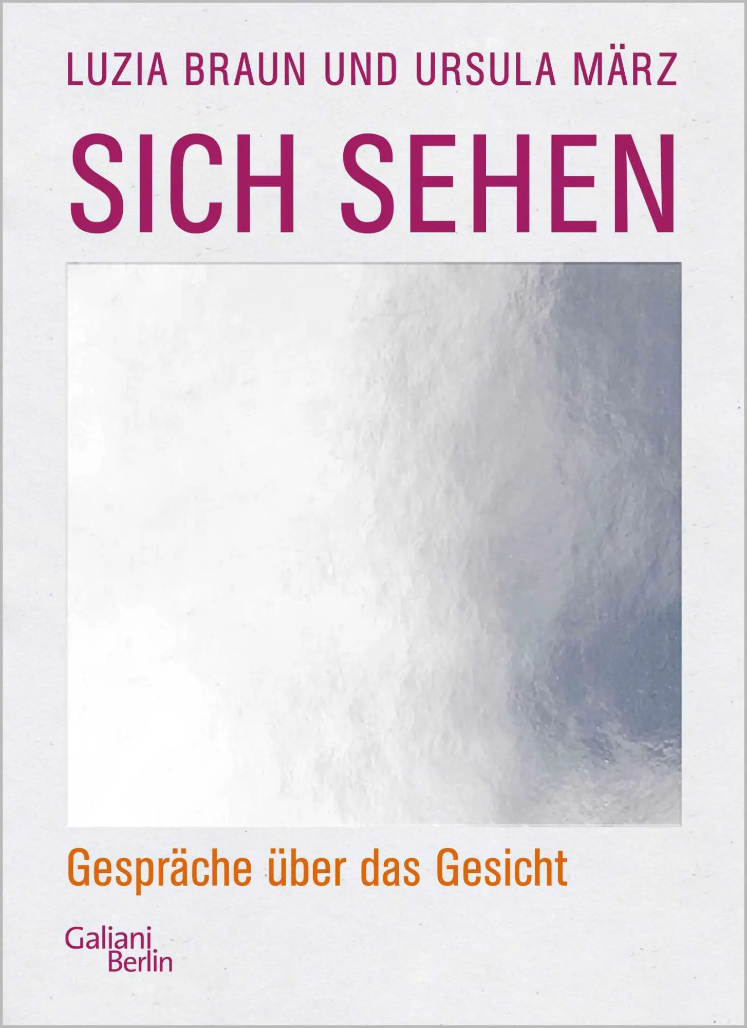 Cover: 9783869712482 | Sich sehen | Gespräche über das Gesicht | Luzia Braun (u. a.) | Buch