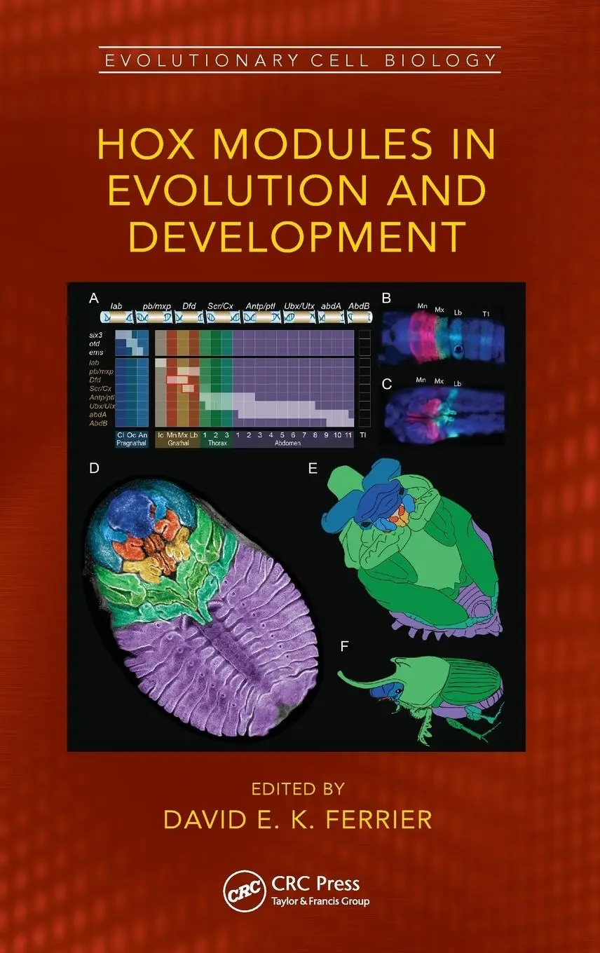 Cover: 9780367522582 | Hox Modules in Evolution and Development | David E. K. Ferrier | Buch