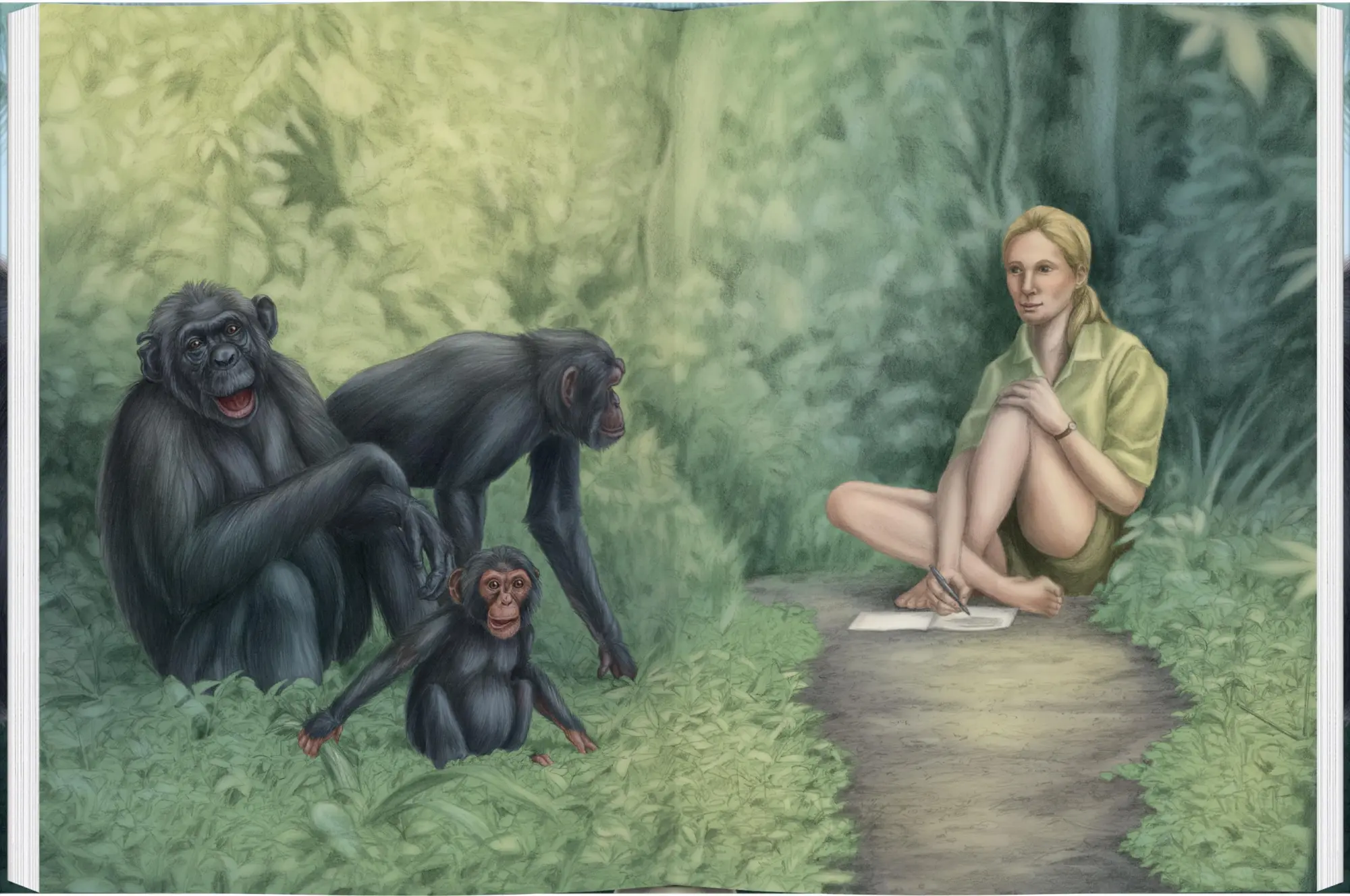 Bild: 9783836962582 | Mit Jane Goodall bei den wilden Schimpansen | Maja Nielsen | Buch