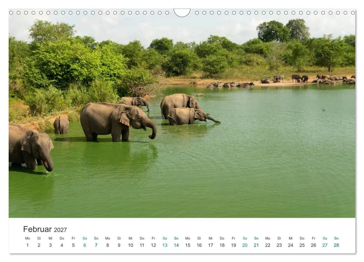 Bild: 9783569582682 | Traumziel Sri Lanka (Wandkalender 2027 DIN A3 quer), CALVENDO...