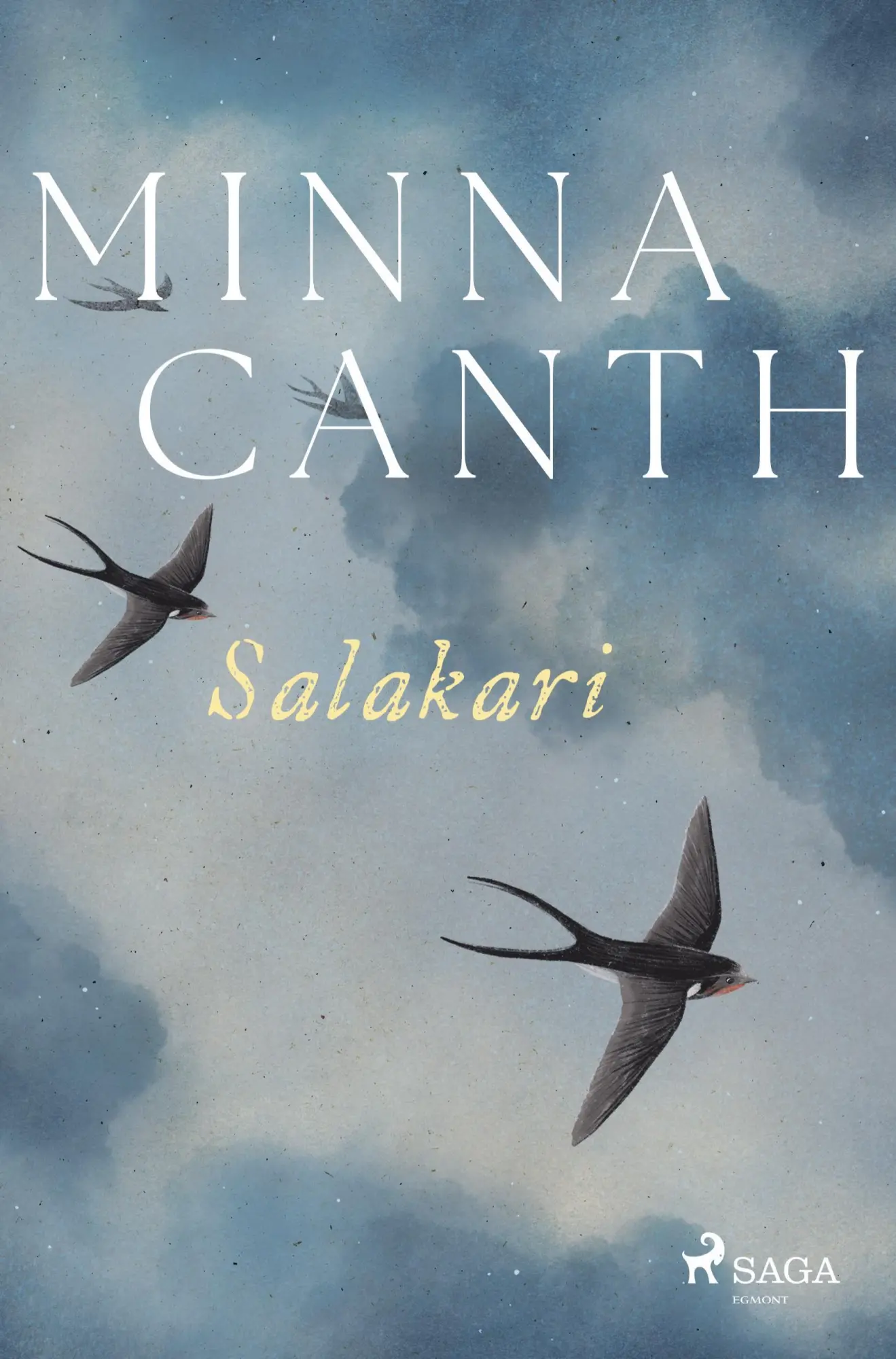 Salakari