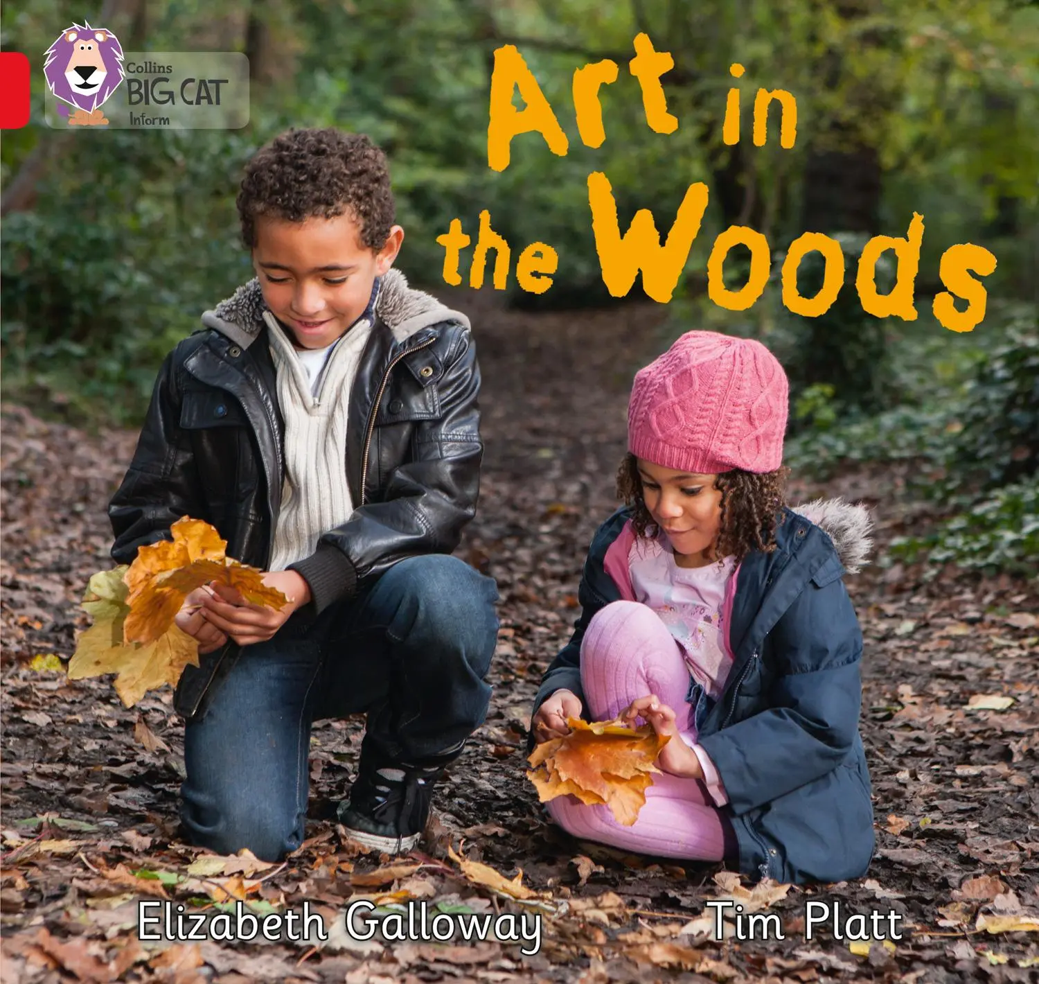 Cover: 9780007512782 | Art in the Woods | Band 02b/Red B | Elizabeth Galloway | Taschenbuch