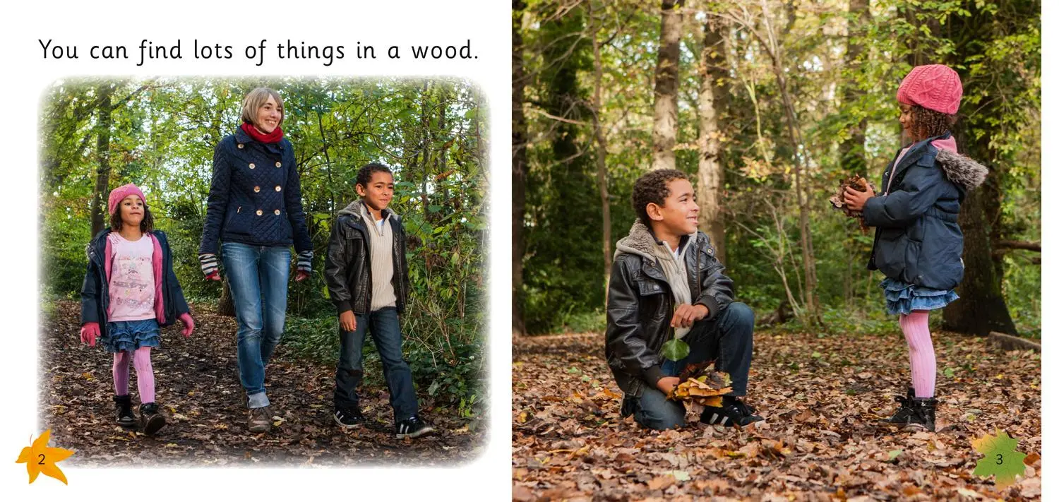 Bild: 9780007512782 | Art in the Woods | Band 02b/Red B | Elizabeth Galloway | Taschenbuch