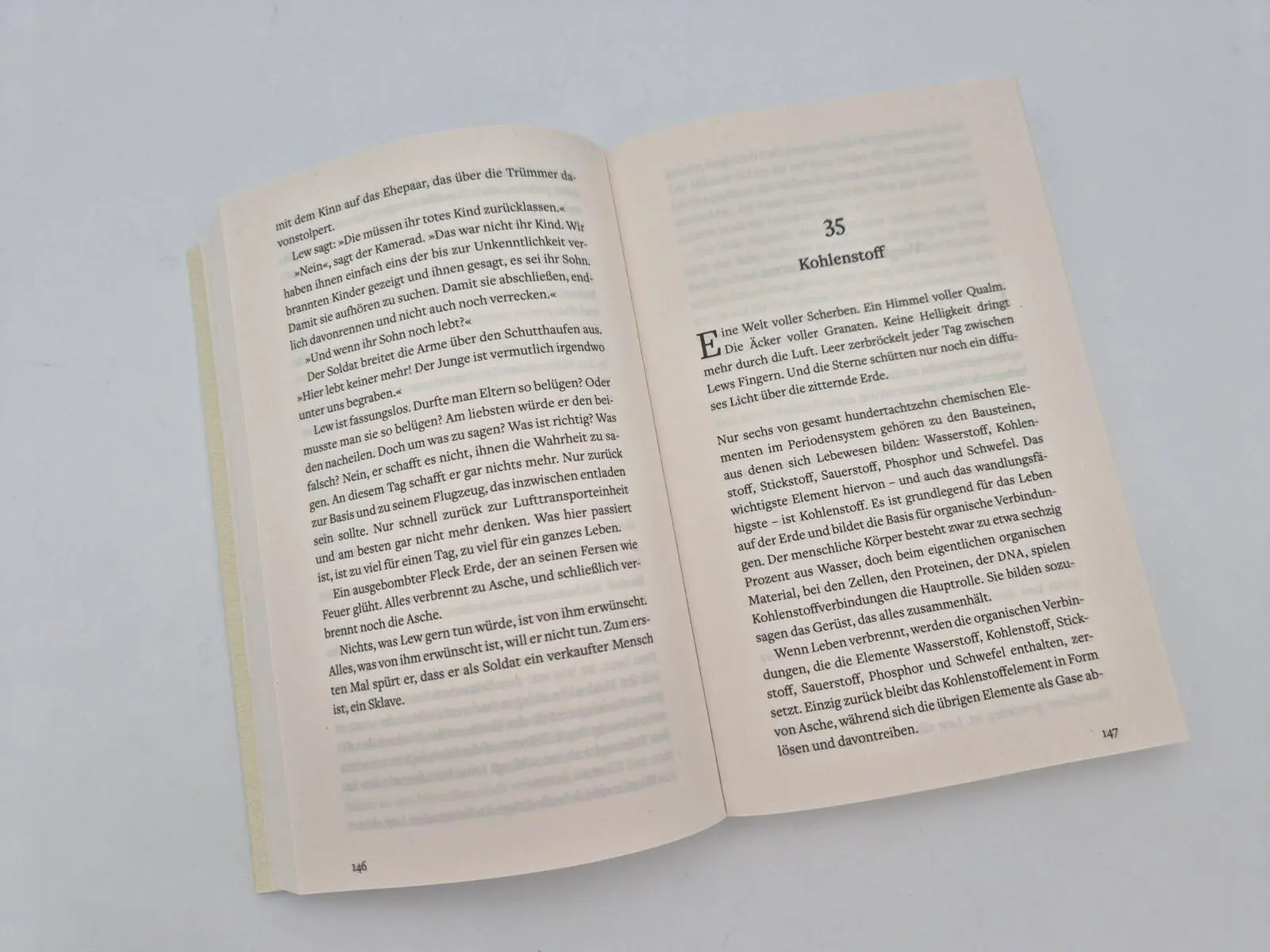 Bild: 9783492322782 | Die Unvollkommenheit des Glücks | Clara Maria Bagus | Taschenbuch