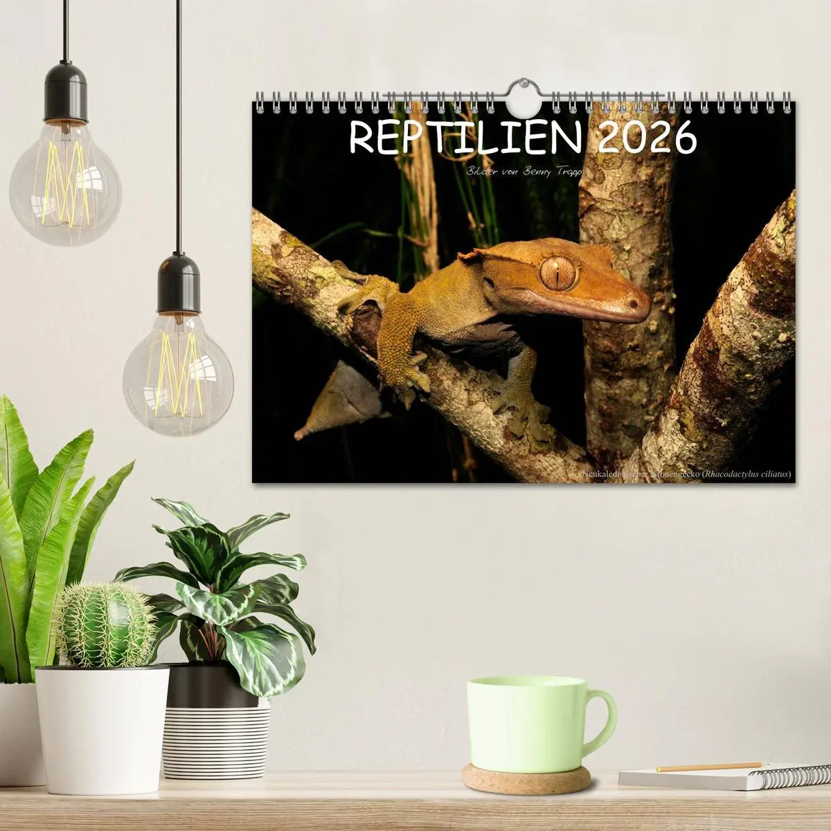 Bild: 9783516172782 | REPTILIEN (Wandkalender 2026 DIN A4 quer), CALVENDO Monatskalender